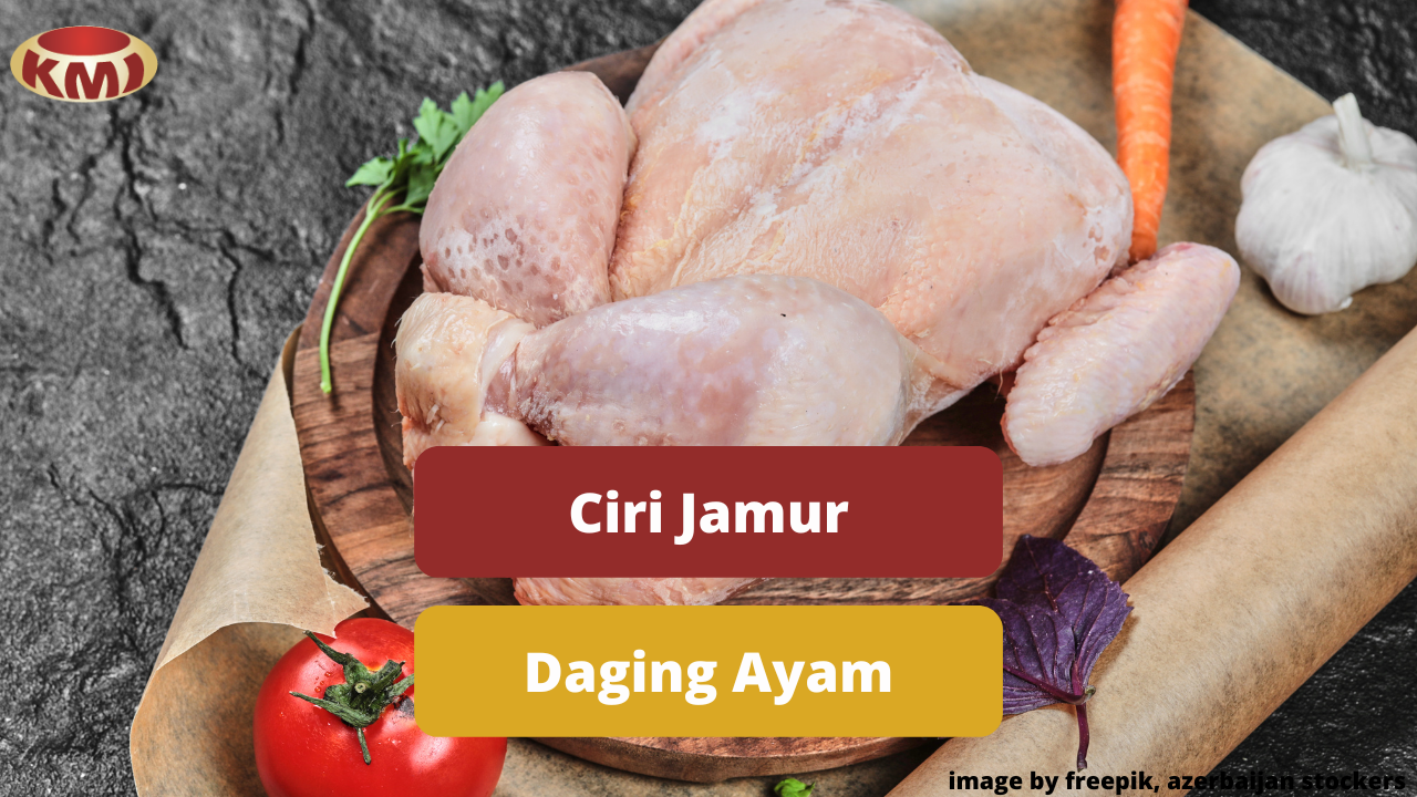 Waspadai Ciri Jamur Yang Tumbuh Pada Daging Ayam